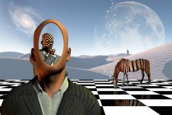 Что такое НЛП в психологии: особенности методики, виды, техники и процессы нейролингвистического программирования