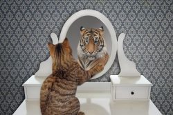 Самовосприятие — это что такое в психологии: развитие и самоатрибуция