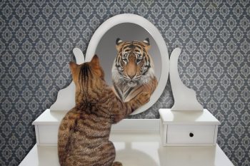 Самовосприятие — это что такое в психологии: развитие и самоатрибуция