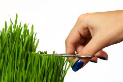 Ананкастное расстройство личности, или обсессивно-компульсивное расстройство. Суть, причины, коррекция