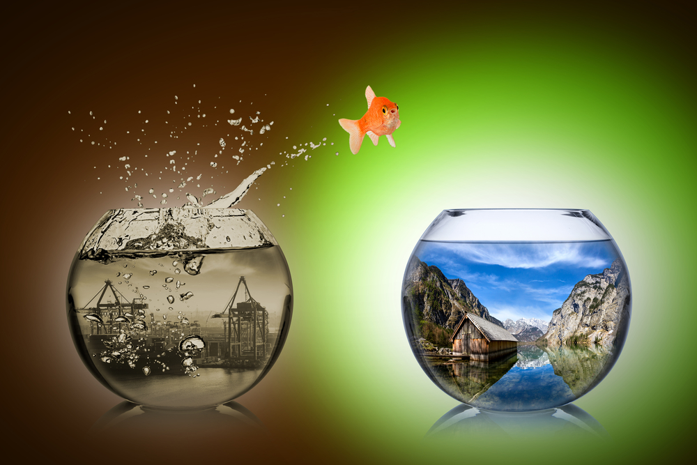 Самореализация