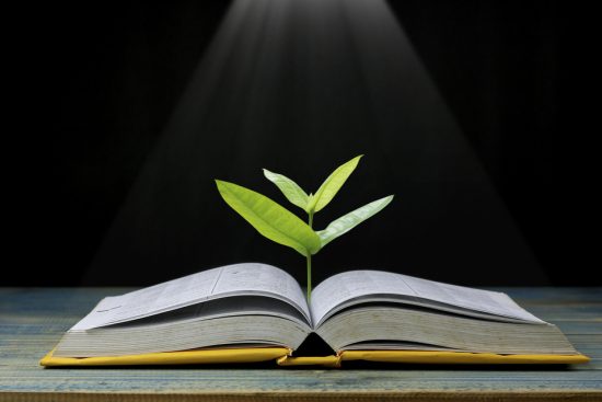 Житейская и научная психология: примеры, сходства и различия, взаимосвязь