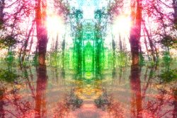 Измененное состояние сознания: что такое. Виды, теория и практика