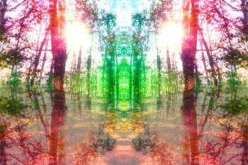 Измененное состояние сознания: что такое. Виды, теория и практика