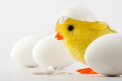 Во сколько и как рассказать ребенку, откуда берутся дети – рекомендации по возрастам. Как объяснить сыну и дочке, откуда берутся дети