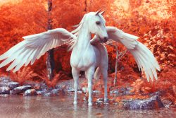 Миф – что это такое. Мнение психолога