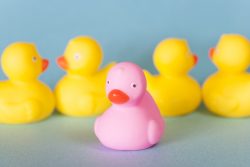 Ксенофобия — что это: виды и формы, причины, профилактика