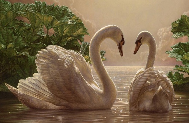 Искусственный лебяжий пух: что это такое, свойства, достоинства и недостатки