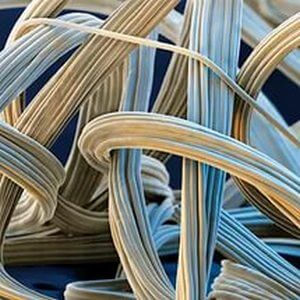 волокна эластана