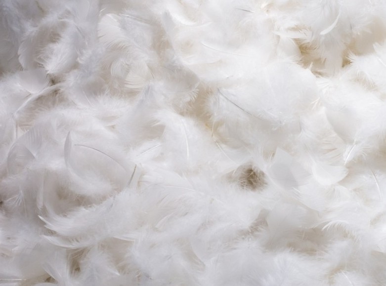 наполнитель пух-перо