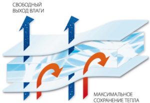 действие наполнителя