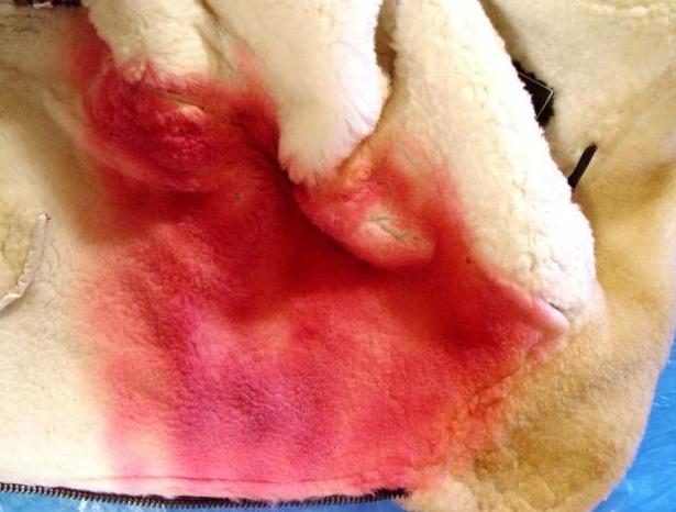 тонирование искусственного меха