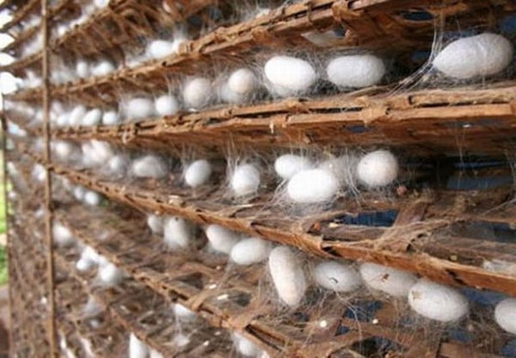 Натуральный шелк: описание ткани, состав, свойства, достоинства и недостатки